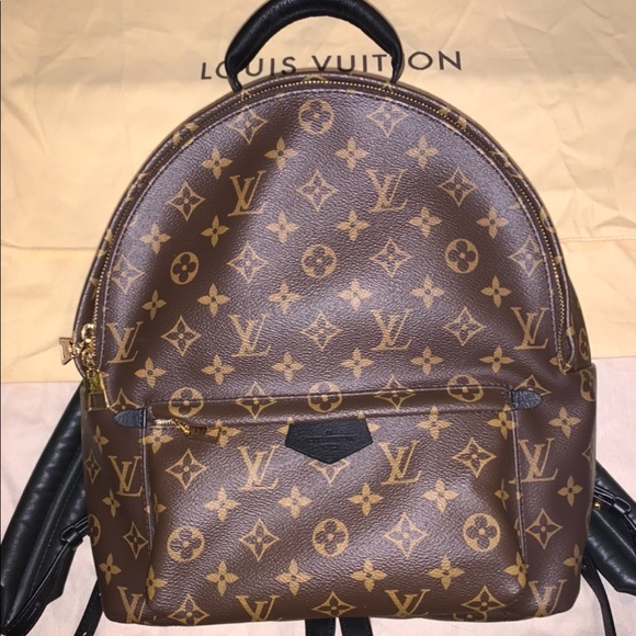 Louis Vuitton Palm Springs Monogram Backpack - Picture 1 of 11